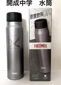 Item thumbnail for item a1be70b7-456e-4a65-8354-ae3286295cf2