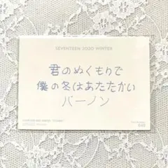 SEVENTEEN バーノン winter メッセージ トレカ