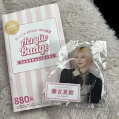 Item thumbnail for item ec8bf371-3c63-4cb0-a46c-2399e2afe353