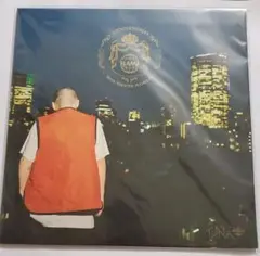 激レア未使用品 仙人掌『BOY MEETS WORLD』2LP