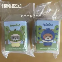 【匿名配送】zeroniハニニ ビニニフルーツフィギュア⭐︎2コセット ハオビン