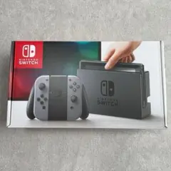 Nintendo Switch 本体 グレー