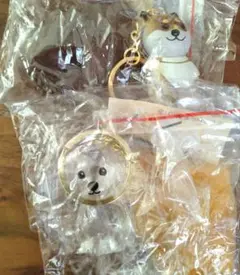 いつもわんちゃんと一緒　キーホルダー　柴犬　プードル　けだま
