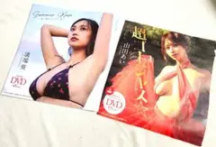 プレイボーイ付録DVD 2枚セット