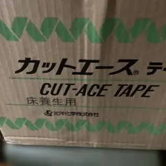 Item thumbnail for item 545213cc-4dd7-4c10-b640-962a79fdeb87