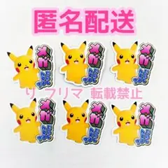 ポケモン ポケモンセンターフェスティバル ピカチュウステッカー ピカチュウ 6枚