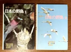 【8月お値下げ・2冊セット】「日本の野鳥1 」「日本の野鳥2 」山と渓谷社