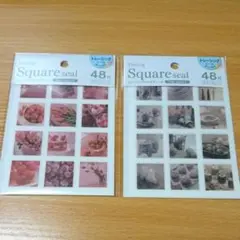 セリア トレーシングスクエアシール フィルターフォト