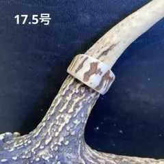 幸運の鹿の角リング300