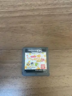 任天堂DS たまごっちのプチプチおみせっち ごひーきに