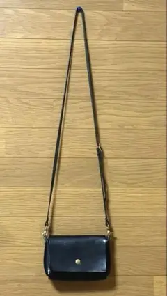 Item thumbnail for item f0884b73-ef28-408d-aa46-c512fae696c8