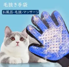 Item thumbnail for item a8ec407c-8fc1-4607-9d6f-549a059fe0bf