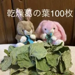 Item thumbnail for item 9e77ddb0-d9e9-4c58-8783-dc686abab1a4