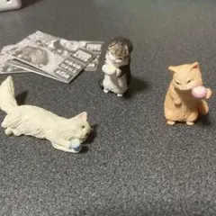 かんぱいにゃん 3種