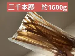 Item thumbnail for item 8ff5bbf8-bbc8-4b4f-9c52-ed8729a6bb2b