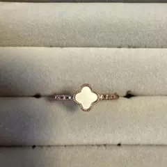 Item thumbnail for item 7509f561-7998-425a-bf61-289bee4c65fe