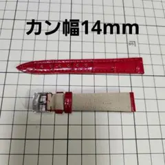 Item thumbnail for item 543bb06b-823d-4022-a67b-0bcaa824fddc