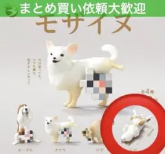 ★早い者勝ち！　送料込み　新品未使用　モザイヌ　シバ　1個