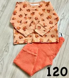 Item thumbnail for item 996a5388-6f57-4a1f-9731-2d280a037fe2