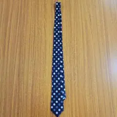 Item thumbnail for item c3884930-606e-42ee-98f8-d456e0e65800