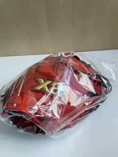 ザナックス 硬式 キャッチャーミット 高校野球対応 捕手用