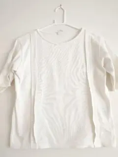 【美品】plain less オシャレなカットソー 半袖 白 Ｍ Ｔシャツ