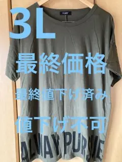 ✡✡✡✡✡✡最終価格✡✡✡✡✡カーキロングチュニック(3L)