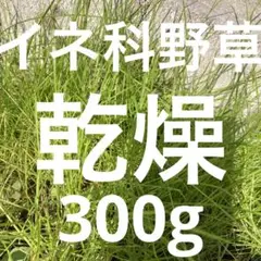無農薬 乾燥 兵庫県産 イネ科野草 300g