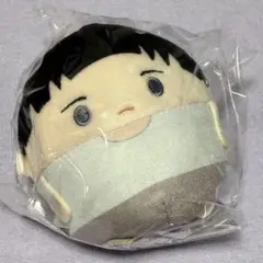 WIND BREAKER ウィンブレ ふわコロりん 硯 マスコット ぬいぐるみ