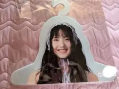 菱田未渚美　ラッフルくじ　B賞　フォトハンガー　Girls2 新品