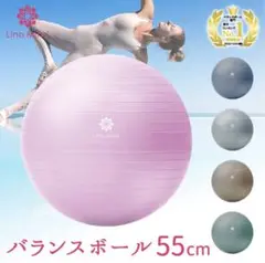 Lino Mirai バランスボール 55cm ペールグレー 空気入れ付き