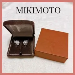 Item thumbnail for item 0425b044-f877-42d6-9abb-825aaa625773