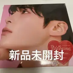 BLUE PARADISE ハンビン デジパック 新品未開封