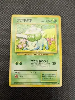 ポケモンカード　旧裏　旧裏面　フシギダネ