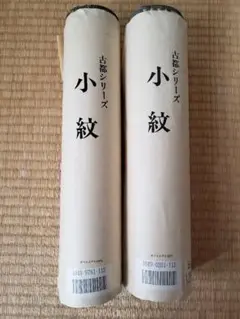 Item thumbnail for item 9f25cff3-3cdb-4806-889a-e4d16c60de62