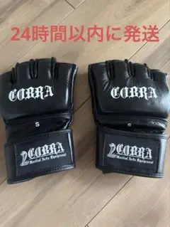 Item thumbnail for item 73d6a011-6114-47e4-895a-badc0748020e