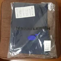 Item thumbnail for item f9268b1f-a3c1-46e3-bf1a-91743dce5314