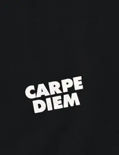 CARPE DIEM ナイロン　パンツ　黒　キムタク愛用　ブランド　Lサイズ