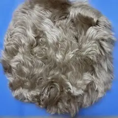 Item thumbnail for item afe0e2ca-c876-448f-8fb1-6eb34bd20009