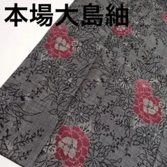 着物 本場大島紬 正絹 一元式 茶泥染め 素敵な花絣 U-8383