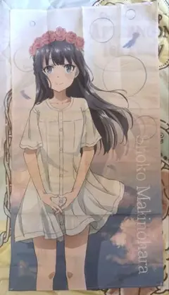 青春ブタ野郎はバニーガール先輩の夢を見ない ビジュアルクロス