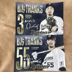 オリックス T-岡田 安達了一 引退試合 限定配布 引退記念応援ボード2枚セット