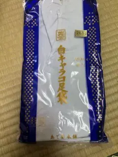 Item thumbnail for item f4716559-e6a3-474a-ad95-714680f153a4