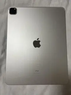 Apple iPad pro 第五世代1tb Wi-Fi