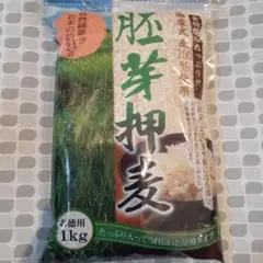 胚芽押麦 賞味期限 2026年6月30日 1キロ 雑穀米