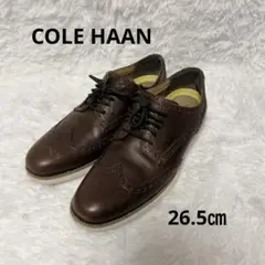 Item thumbnail for item 53f9cee3-093c-47e7-aa88-3e47cbd9a4dc