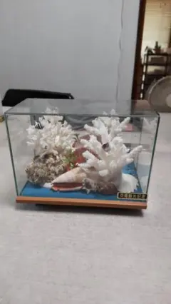 沖縄観光記念土産品