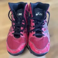 「美品」asics バスケットボールシューズ 24.5cm 赤