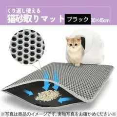 Item thumbnail for item 0a2861ee-a592-4345-99a0-1f100476d459