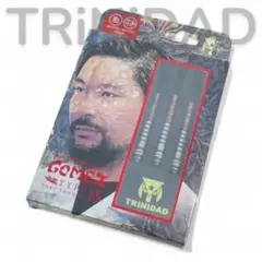 TRiNiDAD GOMEZ TYPE15 ゴメス 山田 勇樹 ダーツ バレル